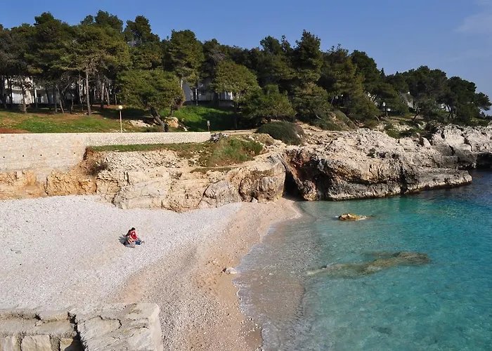 Διαμέρισμα Drenovica Πούλα