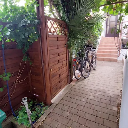 Apartment Drenovica *