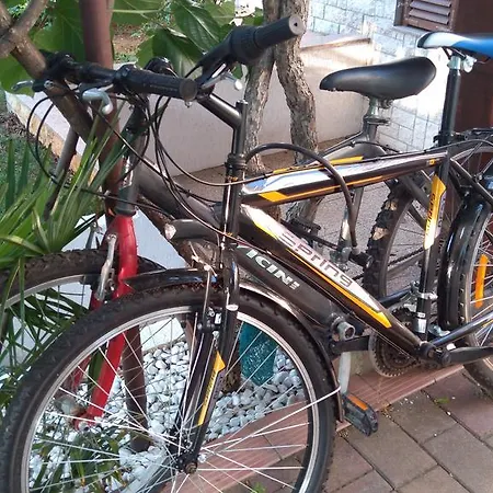 Drenovica * بولا