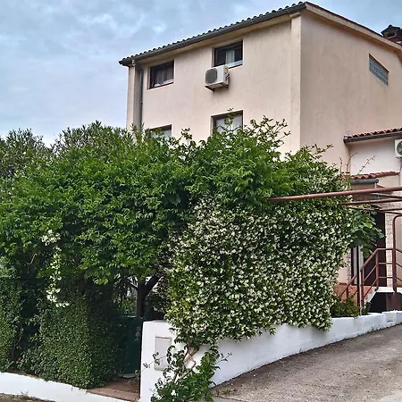Drenovica Apartman