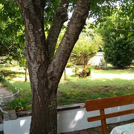 Drenovica Apartment *